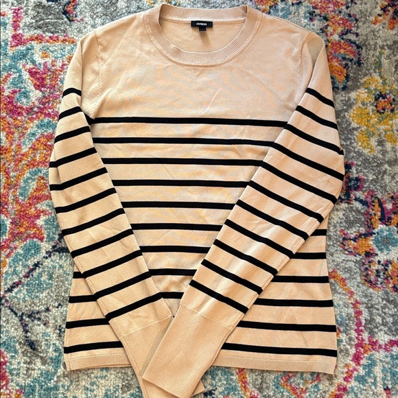 Express Beige and Black Knit Top - Picture 15 of 16